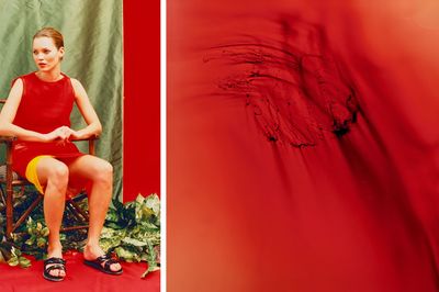 Rare Wolfgang Tillmans Photographs to Come to Market for First Time