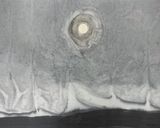 Brightness  La Luminosite by Gao Xingjian contemporary artwork painting works on paper drawing