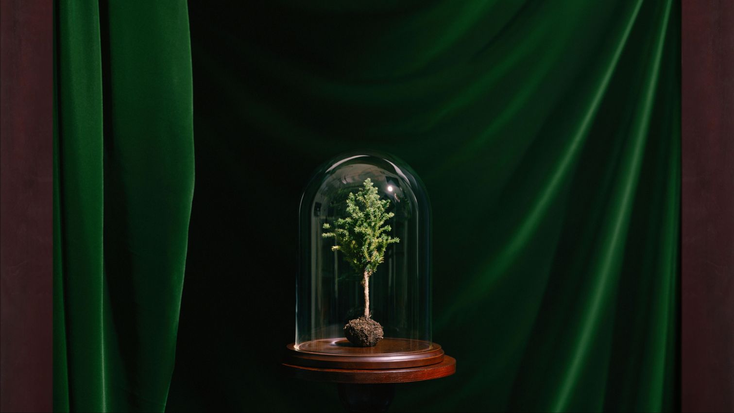 Group Exhibition