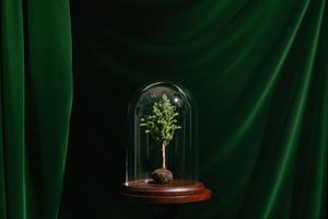 Group Exhibition