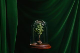 Contemporary art exhibition Group Exhibition WOODS LANDS MEADOWS at Frieze House Seoul