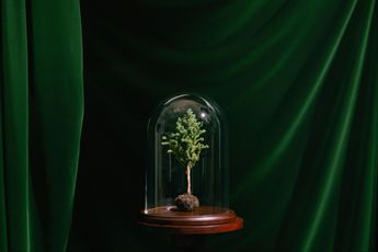 Contemporary art exhibition Group Exhibition WOODS LANDS MEADOWS at Frieze House Seoul