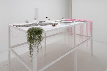 Alice Wang contemporary artist