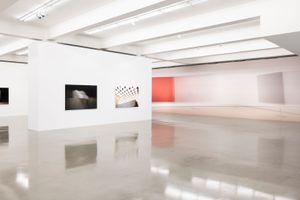 Louise Lawler