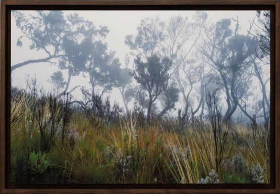 Everymans Mountain Moorland  003 by Omar Al Gurg contemporary artwork Print