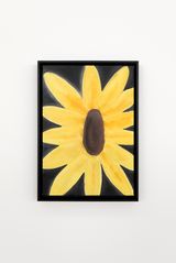 portrait of a sunflower by Andrew Sim contemporary artwork drawing works on paper