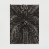 Untitled by Tiago Tebet contemporary artwork painting