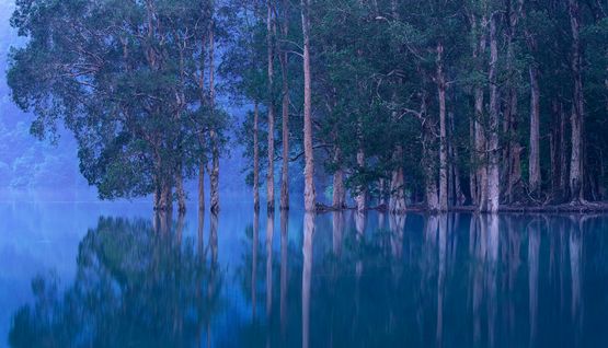 Hong Kong Lands and Sea 11 by Romain Jacquet-Lagreze contemporary artwork Photography