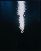 Lake Kaniere Described by Lewis Smith by Conor Clarke contemporary artwork photography