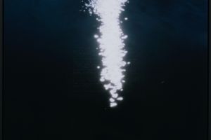 Conor Clarke