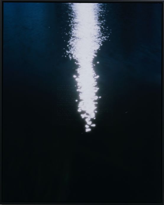 Lake Kaniere Described by Lewis Smith by Conor Clarke contemporary artwork Photography