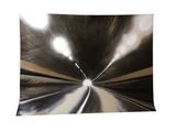 Passage No.15 by Yang Zhenzhong contemporary artwork installation