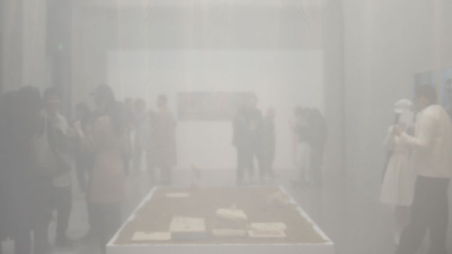 Vietnam Art Collection Expands to Shanghai