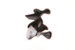 Yonela Doda contemporary artist