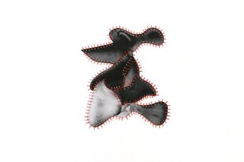 Yonela Doda contemporary artist