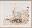 Burrowing Bettongs - Newhaven Wildlife Sanctuary by John Wolseley contemporary artwork Works on Paper