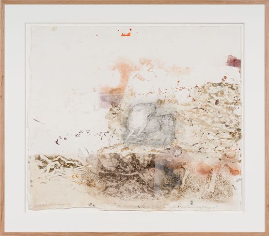Burrowing Bettongs - Newhaven Wildlife Sanctuary by John Wolseley contemporary artwork Works on Paper