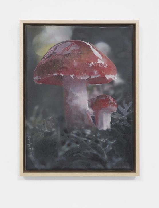 Russula Emetica by Craig Boagey contemporary artwork Painting