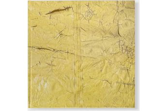 Contemporary art exhibition David Hammons Concerto in Black and Blue at Hauser  Wirth Los Angeles United States