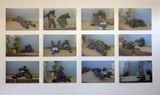 Audition for a Pair of Koalas Blue by Kathy Temin contemporary artwork print