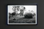 Spaceship with Dog Nabua 2008 by Apichatpong Weerasethakul contemporary artwork Print