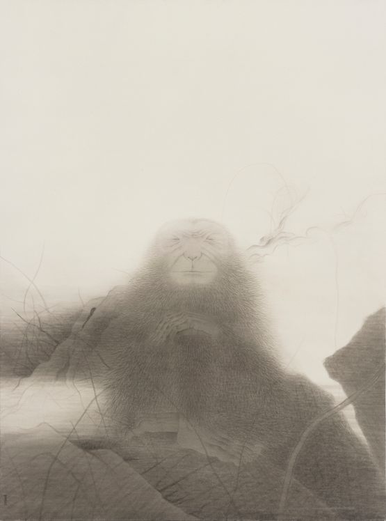 Wild Grass Old Ape by Shao Fan contemporary artwork Works on Paper