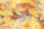 Sheila Isham contemporary artist