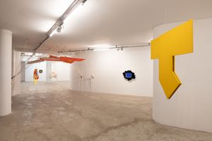 Helio Oiticica Mariela Scafati