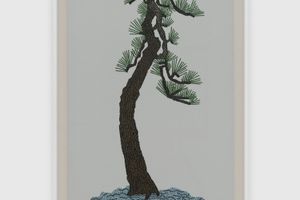 Jonas Wood