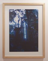 Flavin by Melanie Smith contemporary artwork photography