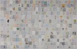 Schizophrenia No. 2 by Ouyang Chun contemporary artwork painting