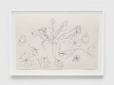 Birthday Tulips from Mark  PF.231 by Ruth Asawa contemporary artwork works on paper drawing