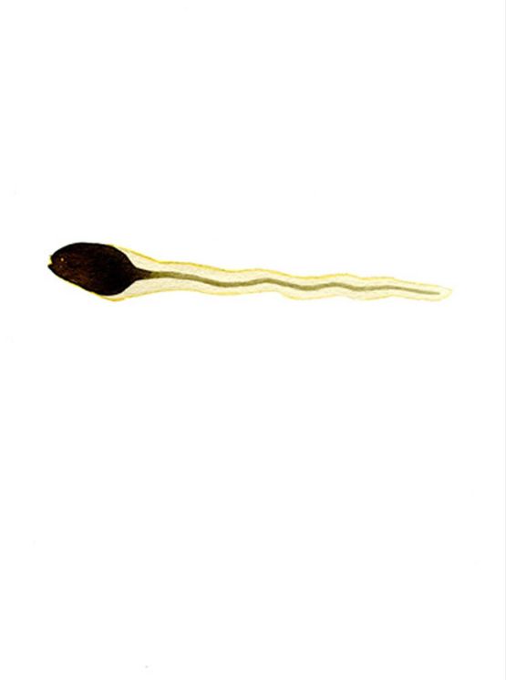 Very Long Tadpole by Klega contemporary artwork Painting