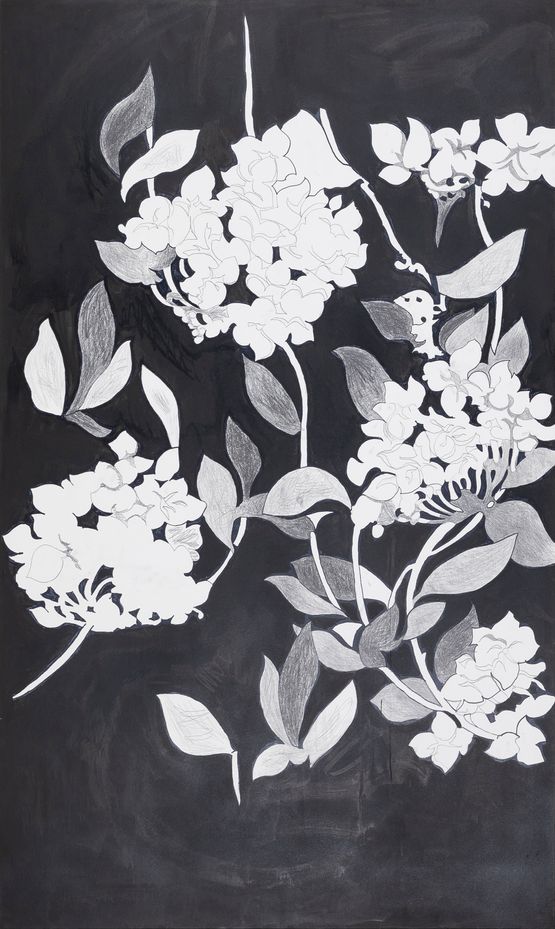 KILLLL by Franz Graf contemporary artwork Drawing