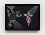 Sem titulo Untitled by Jaider Esbell contemporary artwork works on paper