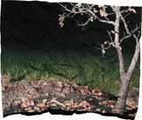 Manifest XIV by Tenzing Dakpa contemporary artwork photography