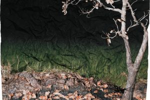 Tenzing Dakpa