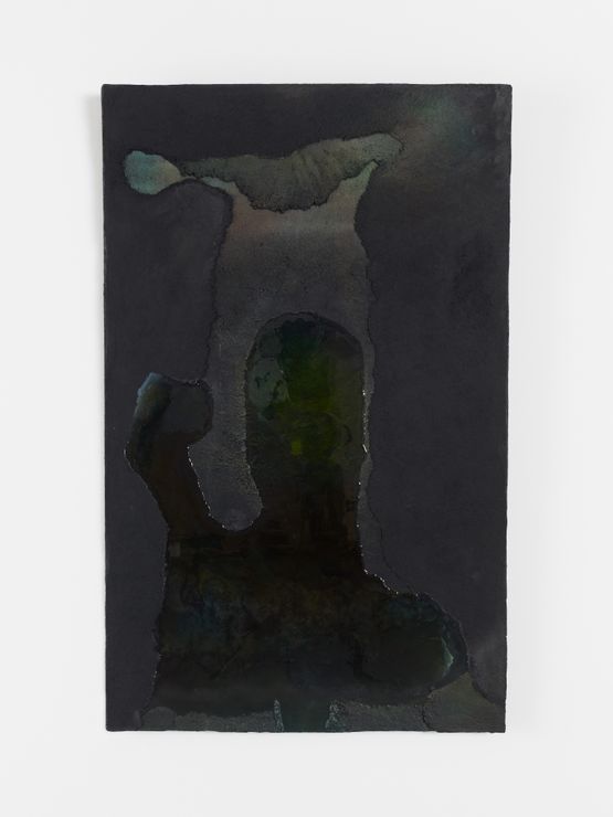 Plate  Placa by Paloma Bosque contemporary artwork Painting