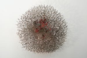 Alan Saret