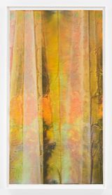 Untitled by Sam Gilliam contemporary artwork mixed media