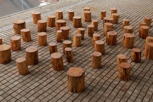 Maya Lin