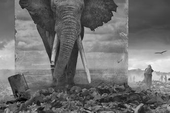 Nick Brandt contemporary artist