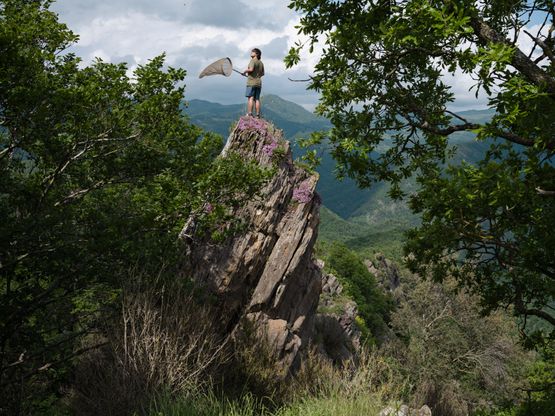 Gerard Collecting Painted Lady Butterflies Institut Botanic de Barcelona Spain by Lucas Foglia contemporary artwork Print