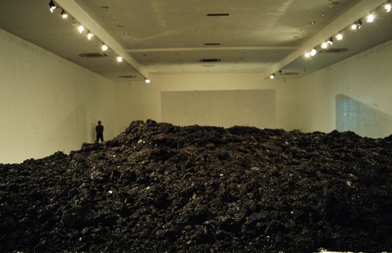 Cola Project Extraction by He Xiangyu contemporary artwork Installation