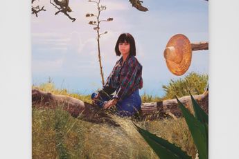 Van Hanos contemporary artist