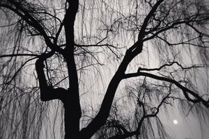 Michael Kenna