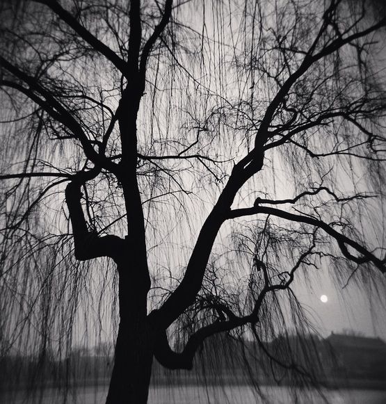 Setting Sun Beijing China by Michael Kenna contemporary artwork Photography