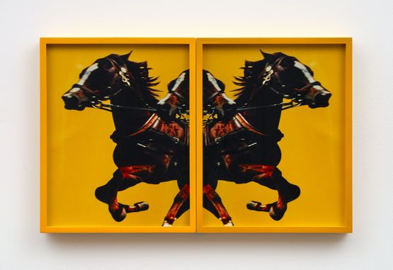 Horses by Brenna Youngblood contemporary artwork Photography
