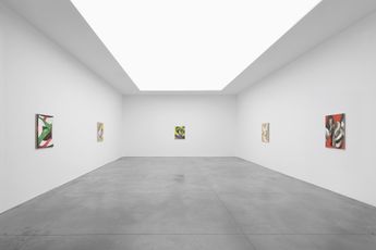 Contemporary art exhibition Lesley Vance Lesley Vance at Xavier Hufkens St-Georges Belgium