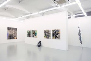 Caroline Rothwell
